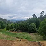 Tropical Dream Farm Kompleks wypoczynkowy Vouzela
