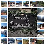 Tropical Dream Farm * Vouzela