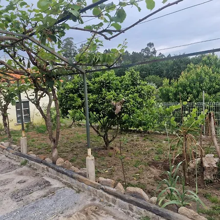 Tropical Dream Farm * Vouzela