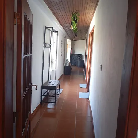 Tropical Dream Farm Vouzela