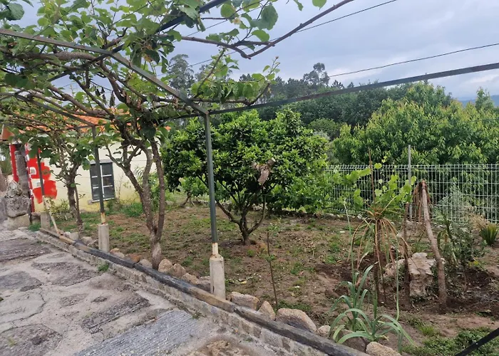 Tropical Dream Farm * Vouzela