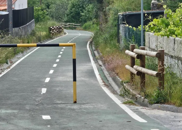 Tropical Dream Farm Vouzela